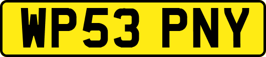 WP53PNY