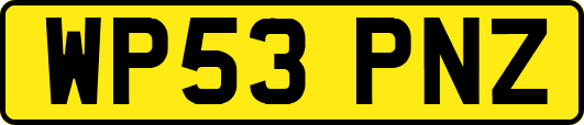 WP53PNZ