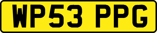 WP53PPG