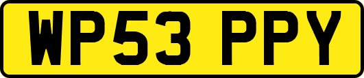 WP53PPY