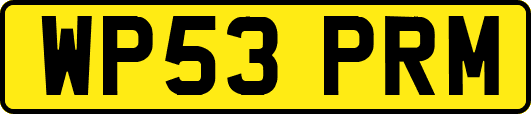 WP53PRM