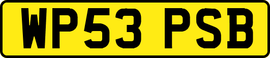 WP53PSB