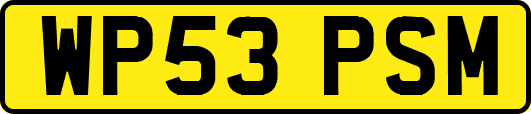 WP53PSM