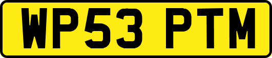 WP53PTM