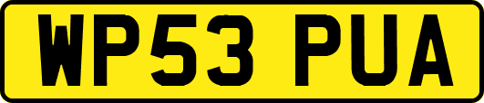 WP53PUA