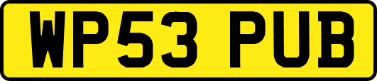 WP53PUB
