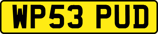 WP53PUD