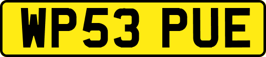 WP53PUE