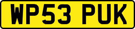 WP53PUK
