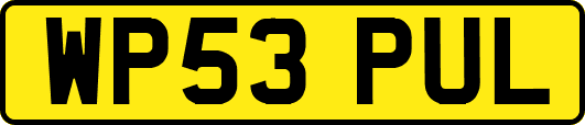WP53PUL