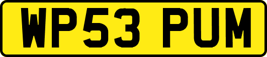 WP53PUM