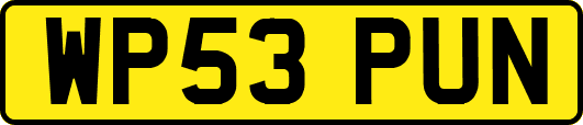 WP53PUN