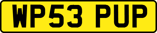 WP53PUP