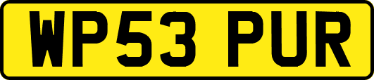 WP53PUR