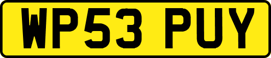 WP53PUY