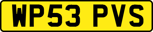 WP53PVS