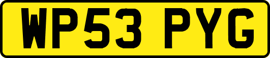 WP53PYG
