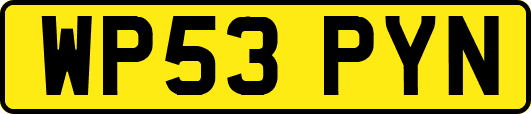 WP53PYN