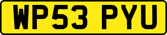WP53PYU