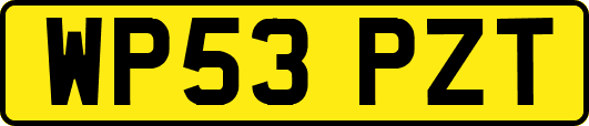 WP53PZT