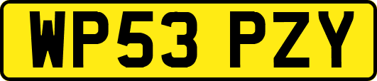 WP53PZY