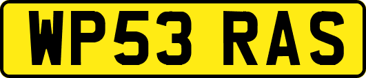 WP53RAS