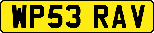 WP53RAV