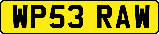 WP53RAW