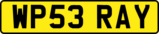 WP53RAY