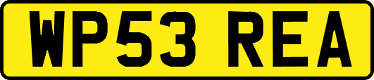 WP53REA