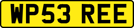 WP53REE