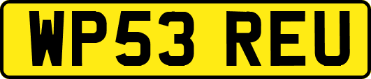 WP53REU