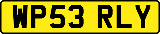 WP53RLY