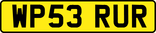 WP53RUR