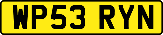 WP53RYN