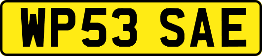 WP53SAE