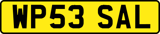 WP53SAL
