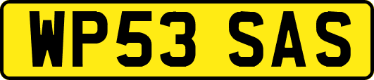 WP53SAS