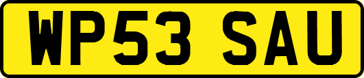 WP53SAU