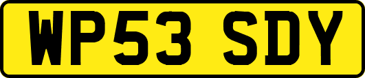 WP53SDY