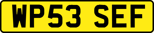 WP53SEF