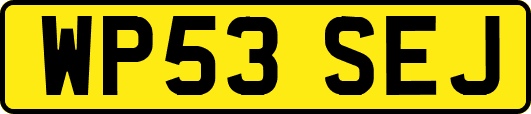 WP53SEJ