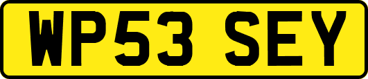 WP53SEY