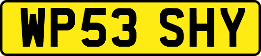 WP53SHY