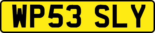 WP53SLY
