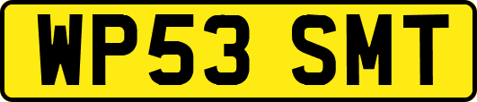 WP53SMT