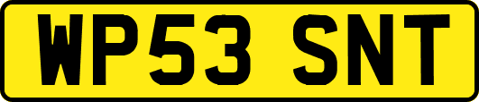 WP53SNT