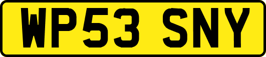 WP53SNY