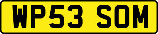 WP53SOM