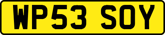 WP53SOY